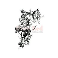 an ink drawing of roses on a white background with the words, i love you