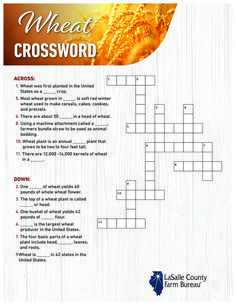 a crossword puzzle with wheat on it