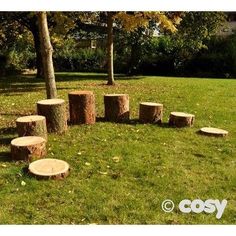 a group of wooden logs sitting in the grass