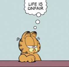 the garfield cat is thinking about life is unfair