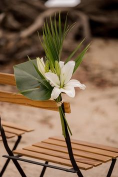 a white flower sitting on top of a wooden chair