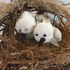 two stuffed birds are sitting in a nest with some feathers on the top and one bird has its eyes wide open