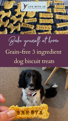 a dog sitting in front of a pile of food with the words, bite yourself at home grain free 3 ingredient dog biscuit treats