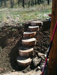 there is a set of wooden steps in the woods