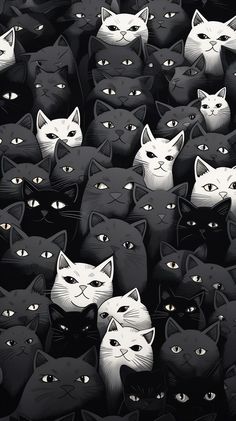 many black and white cats are in the middle of a crowd with their eyes open