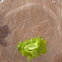 a plastic bag with some lettuce on it