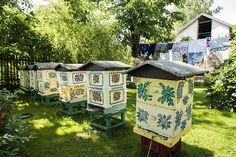 several beehives are lined up in the grass