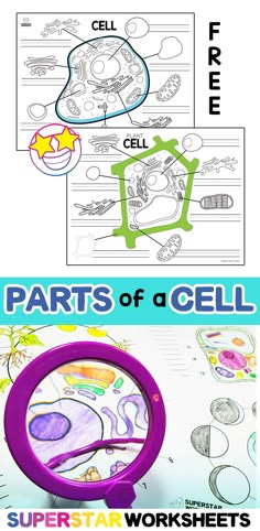 the parts of a cell worksheet for kids to learn how to draw and color