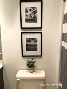 two framed pictures hang on the wall above a toilet