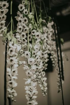 a bunch of white flowers hanging from a ceiling