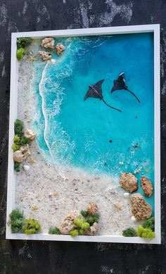 an aerial view of a beach with rocks and plants in the foreground, including a manta ray flying over it