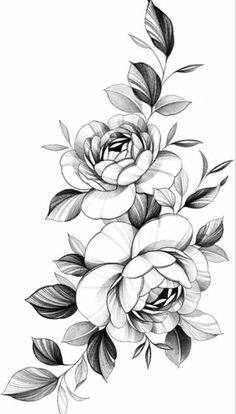 a black and white drawing of some flowers