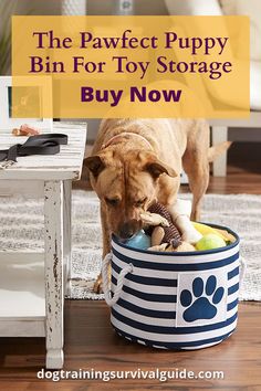 a dog in a blue and white striped toy storage basket with the words, the pawfect puppy bin for toy storage buy now