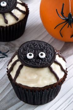 two cupcakes with white frosting and chocolate spider decorations