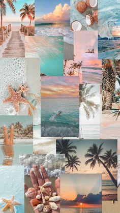 a collage of beach scenes with palm trees and seashells in the foreground