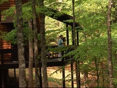 two people are standing on a deck in the middle of some trees and looking at something