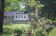 a white house sitting in the middle of a lush green field with roses growing around it