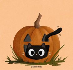 a black cat sitting in the grass next to a pumpkin