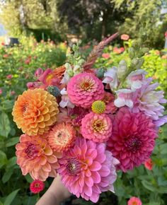 a person holding a bouquet of flowers in their hand with the caption'sugar - flower farm, pitt meadows, british columbia '