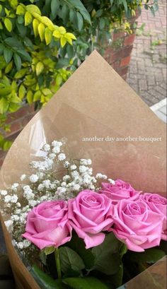 a bouquet of pink roses in a brown paper wrapper with baby's breath