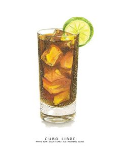 a drawing of a drink with ice and lime