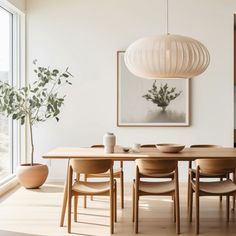 a dining room table and chairs in front of a large window with a plant on it