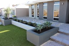 an outdoor garden with plants and steps leading up to the house