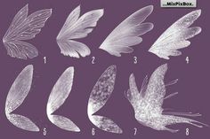 six different types of feathers on a purple background