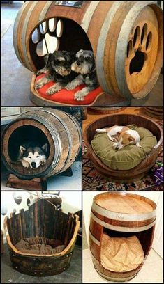 several different pictures of dogs in wooden barrels