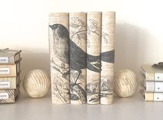 three books with birds on them sitting next to each other