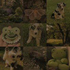 a collage of pictures with different animals and things to see in the photo below