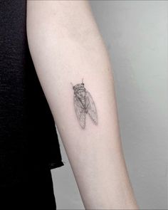 a small insect tattoo on the arm