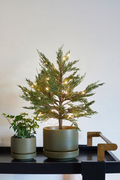 Our olive 'Round Two' planters in 4'' and 6'' are the perfect size to house tabletop miniature holiday trees. Social Sustainability, Tahoe House, Christmas Tree Inspo, 1960s Design, Christmas Pageant, Staging Ideas, Natural Christmas Decor, College Stuff, Miniature Trees