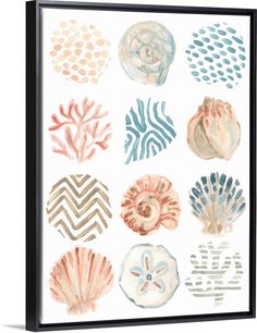 an art print with various seashells and corals on white background, framed in black frame