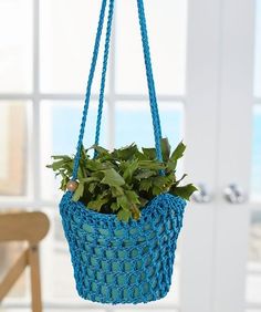 a potted plant in a blue hanging basket