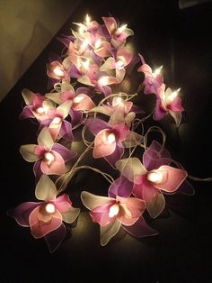 some pink and white flowers with lights on them