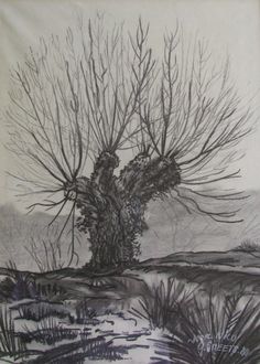 a drawing of a tree with no leaves