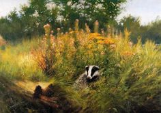 a painting of a badger hiding in the bushes