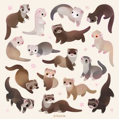 an image of various ferrets on a white background