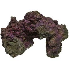 purple rocks are shown against a white background