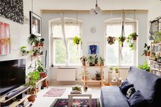 a living room filled with furniture and lots of plants on the windows sills