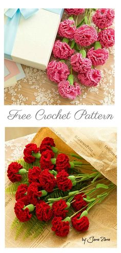 two pictures with red flowers in them and the words free crochet pattern below