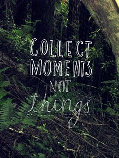 the words collect moments, not things are written in white ink on a forest background