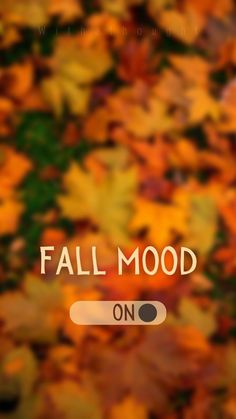 an image of fall mood on the screen with leaves in the background and text that reads,