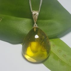 Do you know what Amber is and where does it come from? Amber, Arabic or succino (from the Latin succinum) is a fossilized resin of plant origin, coming mainly from the remains of the extinct tree Hymenaea protera and is the source of Dominican amber Short Description: Dominican Amber Drop Shape Pendant Color: Yellow Amber: Polished Silver: 925 Sterling Silver  Shape of Amber: Drop Stone Size: Height: 1.4 inch (35,43 mm) Width: 1.12 inch (28,43 mm) Depth: 0.53 inch (13.47 mm) Pendant Height: 2.05 Spiritual Amber Necklace, Round Amber Resin Jewelry, Amber Resin Pendant Necklace, Teardrop Baltic Amber Necklace, Teardrop Baltic Amber Necklace In Amber Color, Amber Teardrop Cabochon Necklace, Gold Baltic Amber Necklace, Gold Baltic Amber Round Necklace, Cabochon Baltic Amber Necklace As Gift