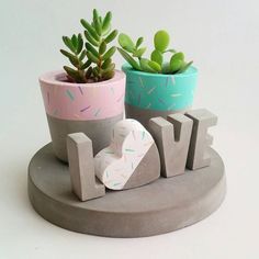 two small pots with succulents in them and the word love spelled out