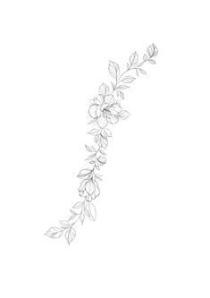 a line drawing of flowers on a white background