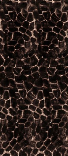 an animal print pattern is shown in black and white