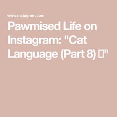 the text reads, pawned life on instagram cat language part 8 / 11