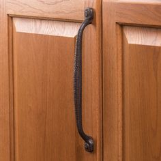 an iron handle on a wooden door